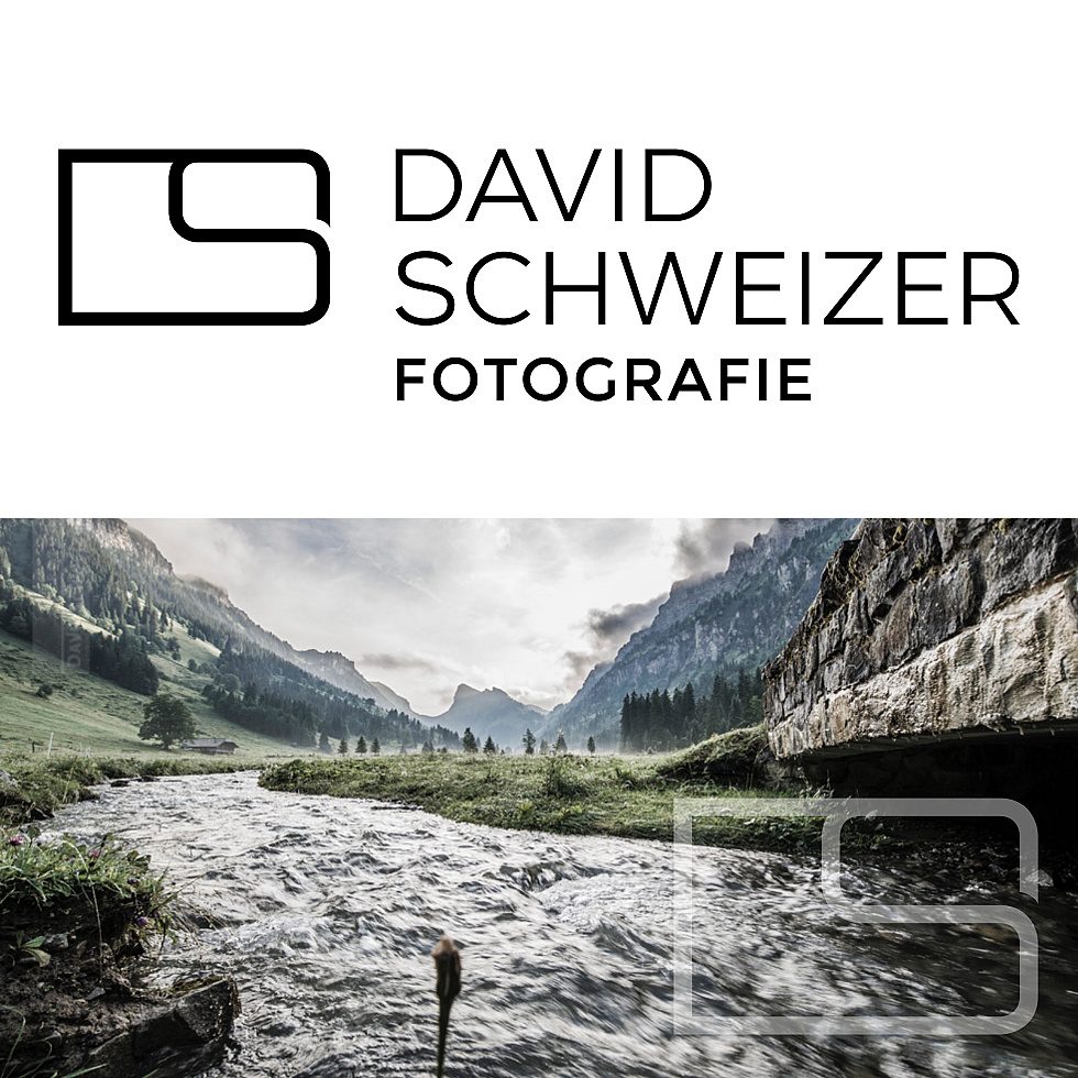 davidschweizer