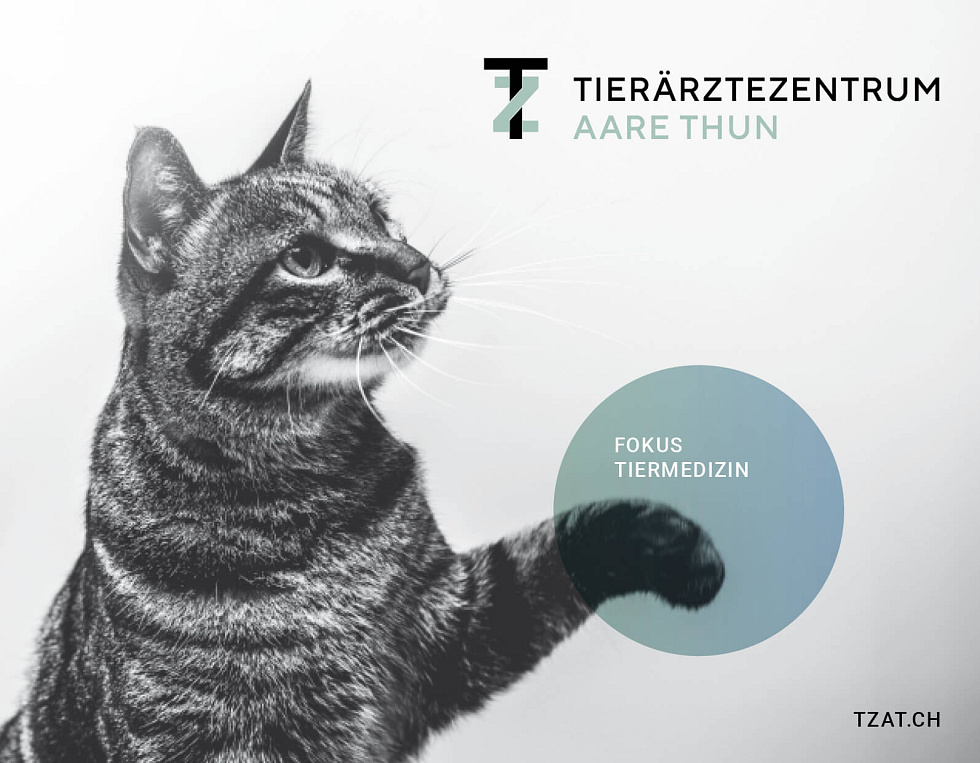 Lisa Behmel, Grafikdesign